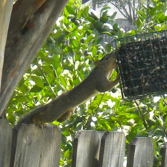 Meet your Posher, Dee - Picture 7 of 8